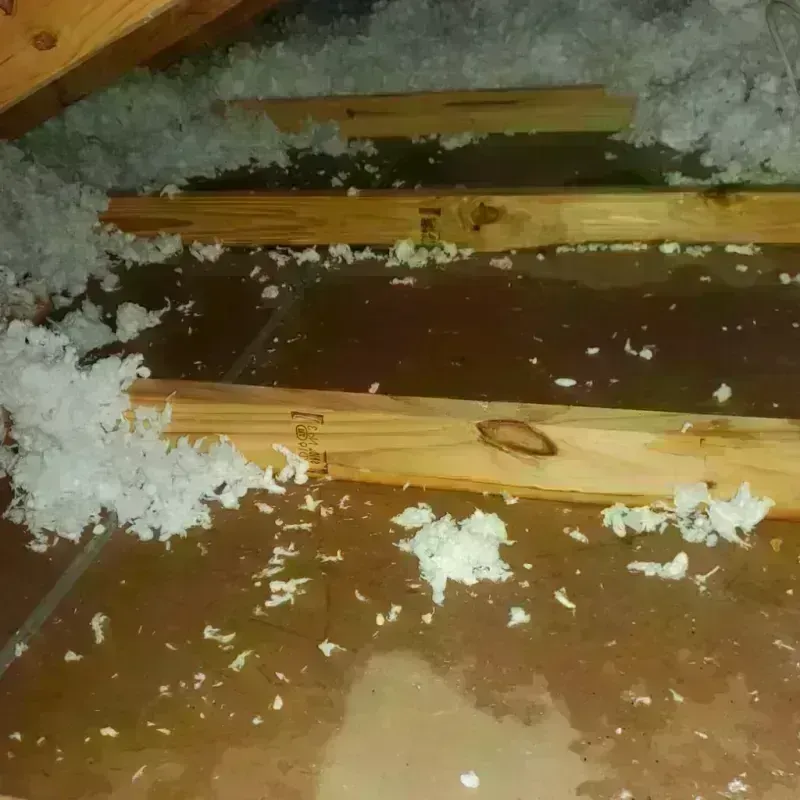 Attic Water Damage in Albany, TX