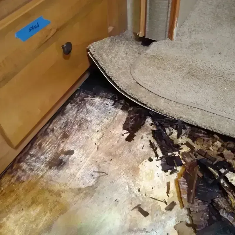 Wood Floor Water Damage in Albany, TX